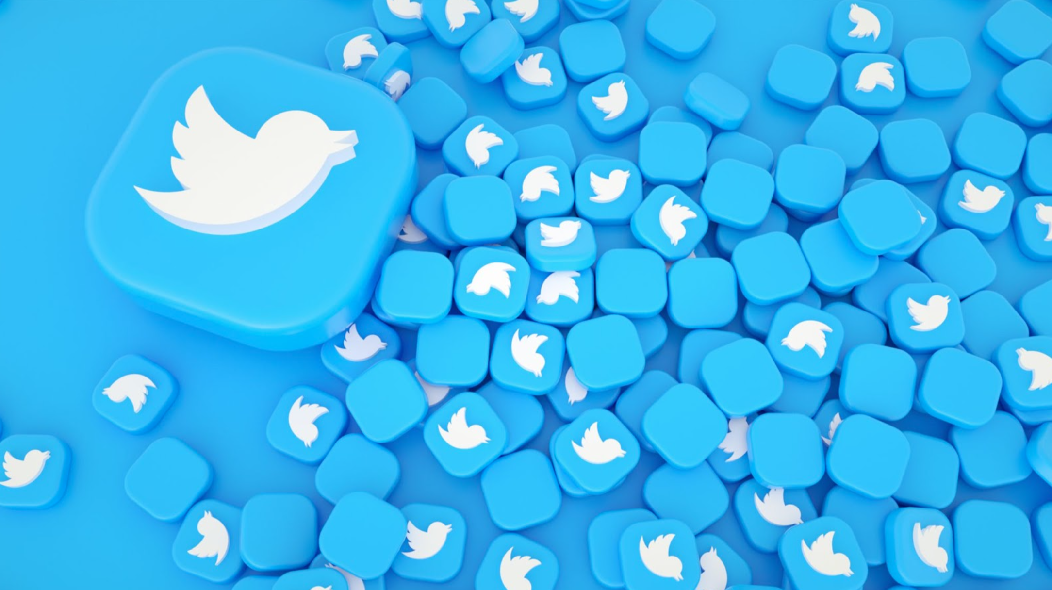 15 Best Twitter Username Ideas to Create the Perfect Handle